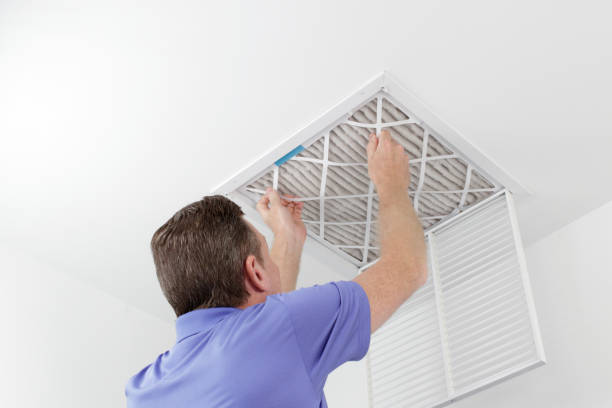 Best Residential Air Duct Cleaning  in San Carlos, AZ